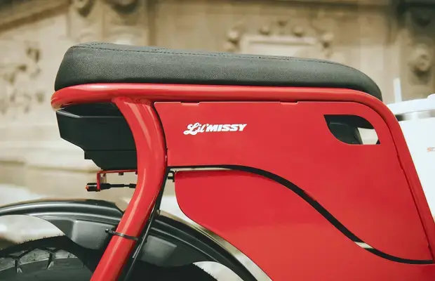 Lil’Missy eBike by RUFF CYCLES – Stylish Urban Cruiser with ePower