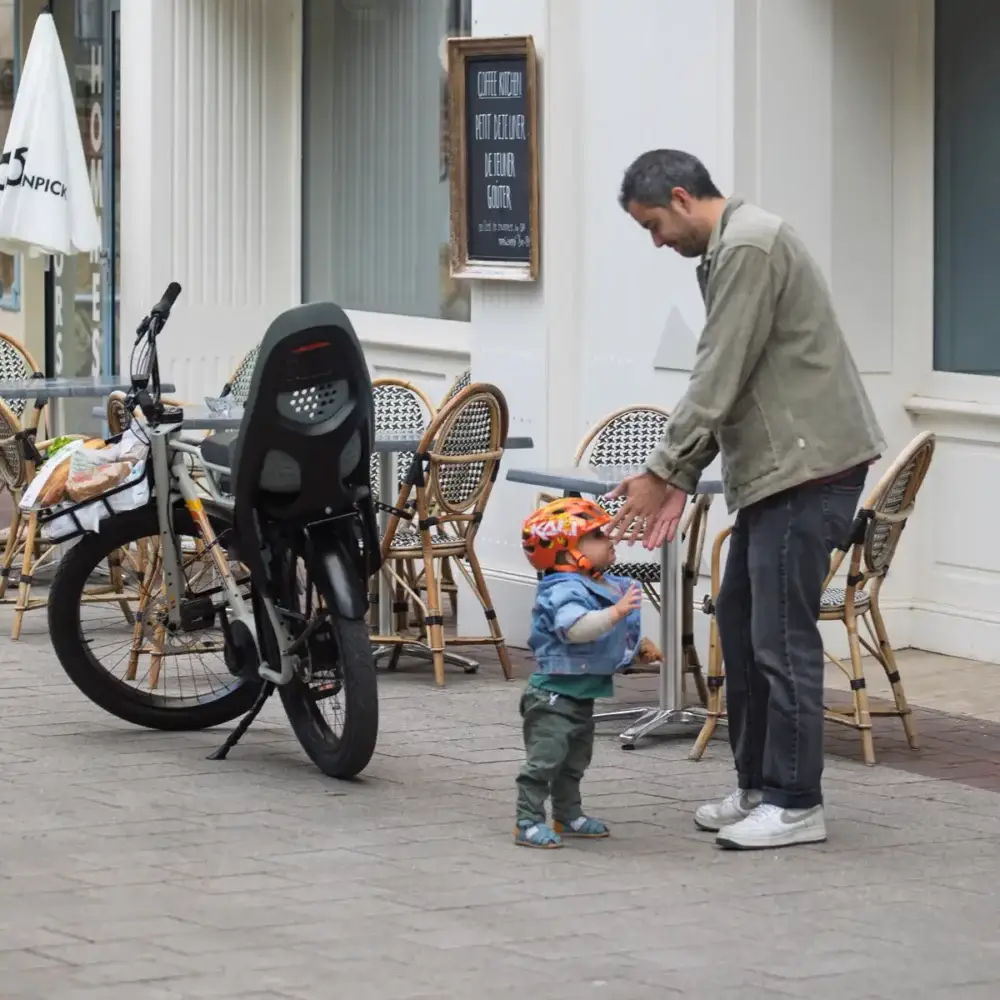Child Seat THULE Yepp 2 Maxi Agave