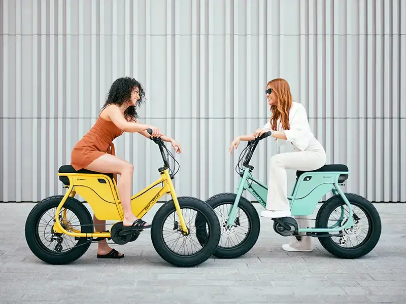 RUFF CYCLES Lil’Missy Bosch ePowered eBike - Highlights