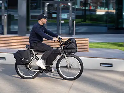 RUFF CYCLES Biggie - Bosch ePowered Commuter eBike - Details