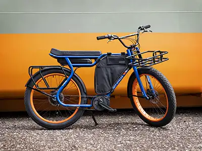 RUFF CYCLES Biggie - Bosch ePowered Commuter eBike - Details