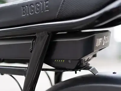 RUFF CYCLES Biggie - Bosch Performance Line CX System / Battery