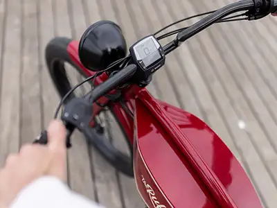 RUFF CYCLES The Ruffian - Bosch eBike System