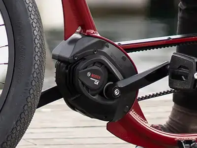 RUFF CYCLES The Ruffian - Bosch eBike System