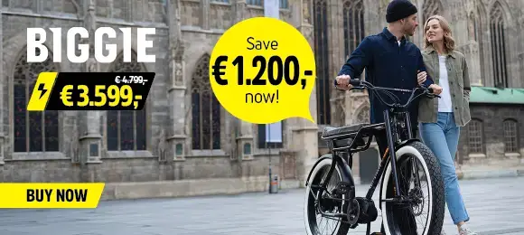 RUFF CYCLES Biggie for only € 3.599,-